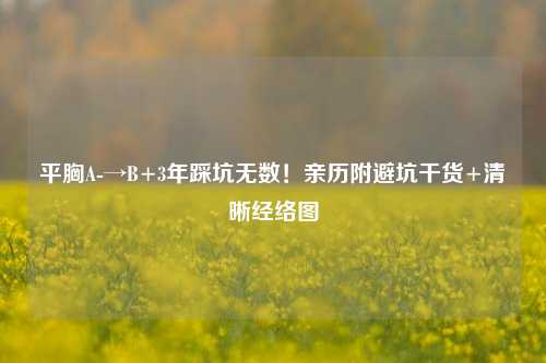 平胸A-→B+3年踩坑无数!亲历附避坑干货+清晰经络图