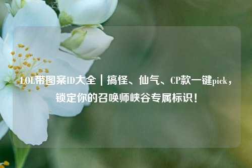 LOL带图案ID大全|搞怪、仙气、CP款一键pick,锁定你的召唤师峡谷专属标识!