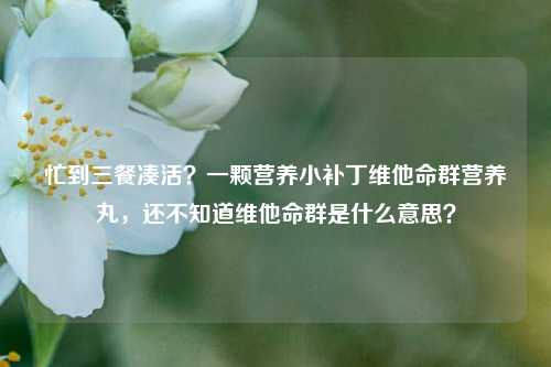 忙到三餐凑活?一颗营养小补丁维他命群营养丸,还不知道维他命群是什么意思?