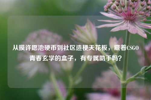 从摸许愿池硬币到社区造梗天花板,藏着CSGO青春玄学的盒子,有专属助手吗?