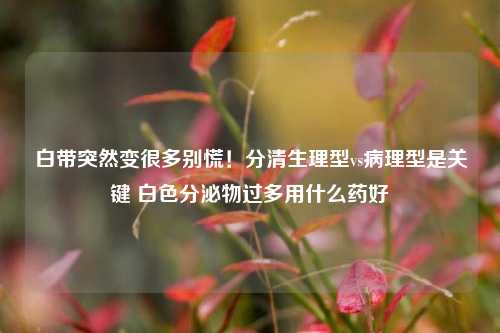 白带突然变很多别慌!分清生理型vs病理型是关键 白色分泌物过多用什么药好