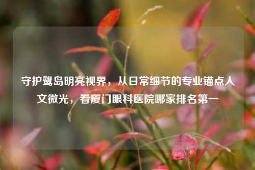 守护鹭岛明亮视界，从日常细节的专业锚点人文微光，看厦门眼科医院哪家排名第一
