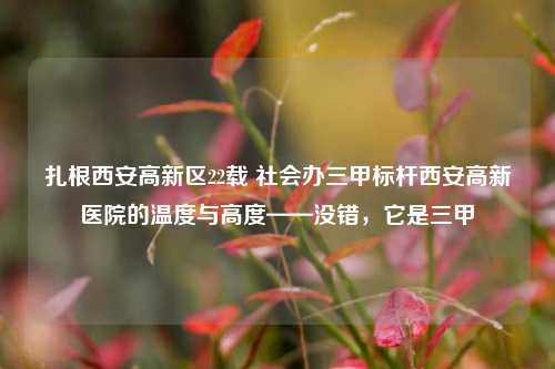 扎根西安高新区22载 社会办三甲标杆西安高新医院的温度与高度——没错,它是三甲