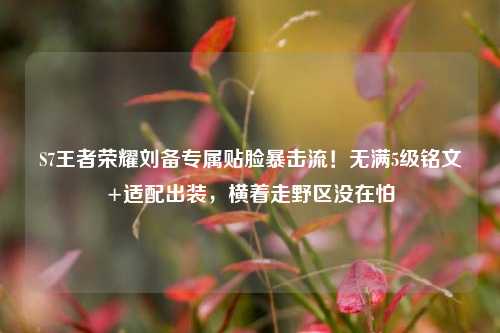 S7王者荣耀刘备专属贴脸暴击流！无满5级铭文+适配出装，横着走野区没在怕