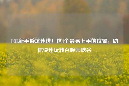 LOL新手避坑速进！这4个最易上手的位置，助你快速玩转召唤师峡谷