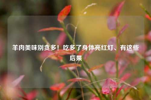 羊肉美味别贪多！吃多了身体亮红灯、有这些后果
