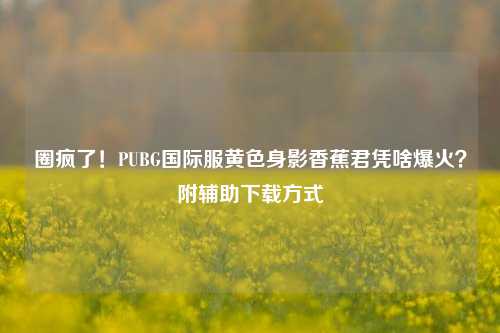 圈疯了!PUBG国际服黄色身影香蕉君凭啥爆火?附辅助下载方式