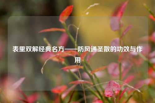 表里双解经典名方——防风通圣散的功效与作用