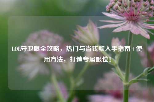 LOL守卫眼全攻略,热门与省钱款入手指南+使用方法,打造专属眼位!