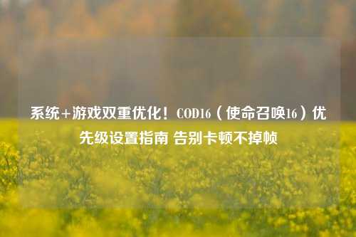系统+游戏双重优化！COD16（使命召唤16）优先级设置指南 告别卡顿不掉帧