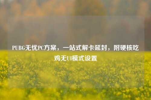 PUBG无忧PC方案,一站式解卡延封,附硬核吃鸡无UI模式设置