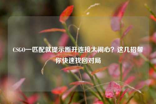 CSGO一匹配就提示断开连接太闹心?这几招帮你快速找回对局