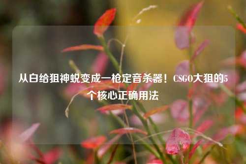 从白给狙神蜕变成一枪定音杀器！CSGO大狙的5个核心正确用法