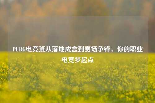 PUBG电竞班从落地成盒到赛场争锋,你的职业电竞梦起点