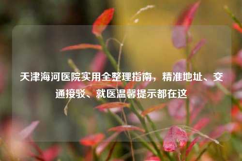 天津海河医院实用全整理指南,精准地址、交通接驳、就医温馨提示都在这