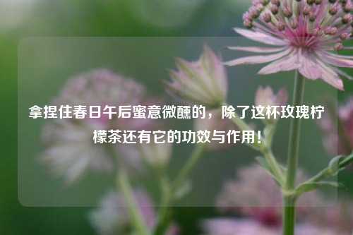 拿捏住春日午后蜜意微醺的，除了这杯玫瑰柠檬茶还有它的功效与作用！