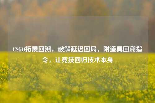 CSGO拓展回溯,破解延迟困局,附道具回溯指令,让竞技回归技术本身
