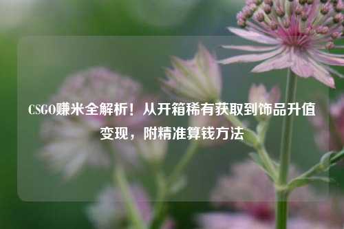 CSGO赚米全解析！从开箱稀有获取到饰品升值变现，附精准算钱方法