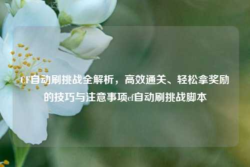 CF自动刷挑战全解析,高效通关、轻松拿奖励的技巧与注意事项cf自动刷挑战脚本