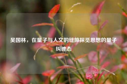 吴国林,在量子与人文的缝隙探觅思想的量子纠缠态