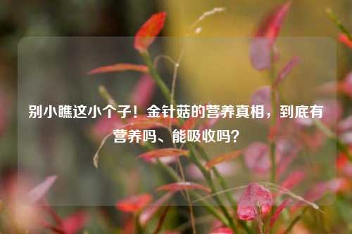 别小瞧这小个子！金针菇的营养真相，到底有营养吗、能吸收吗？