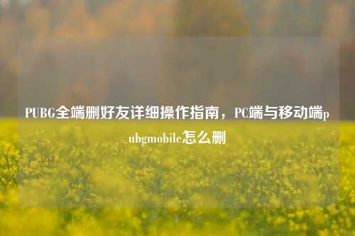 PUBG全端删好友详细操作指南，PC端与移动端pubgmobile怎么删