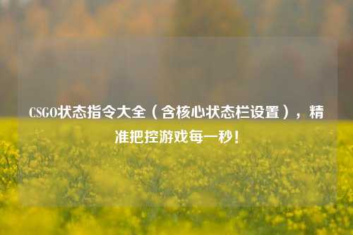 CSGO状态指令大全(含核心状态栏设置),精准把控游戏每一秒!