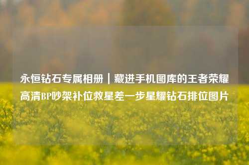 永恒钻石专属相册｜藏进手机图库的王者荣耀高清BP吵架补位救星差一步星耀钻石排位图片