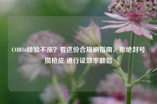 COD16经验不涨？看这份合规刷指南，拒绝封号攒枪皮/通行证效率翻倍