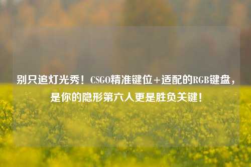 别只追灯光秀！CSGO精准键位+适配的RGB键盘，是你的隐形第六人更是胜负关键！