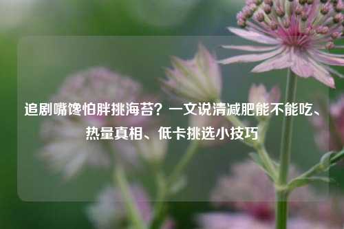 追剧嘴馋怕胖挑海苔?一文说清减肥能不能吃、热量真相、低卡挑选小技巧