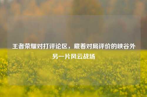 王者荣耀对打评论区，藏着对局评价的峡谷外另一片风云战场