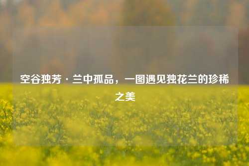 空谷独芳·兰中孤品,一图遇见独花兰的珍稀之美