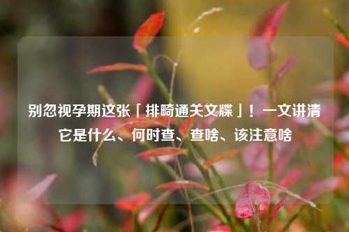 别忽视孕期这张「排畸通关文牒」！一文讲清它是什么、何时查、查啥、该注意啥