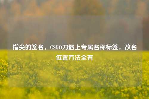 指尖的签名,CSGO刀遇上专属名称标签,改名位置方法全有