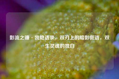 影流之镰·凯隐语录,双刃上的暗影低语,双生灵魂的独白