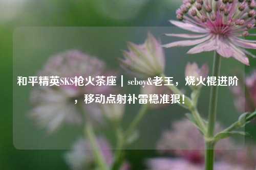和平精英SKS枪火茶座|scboy&老王,烧火棍进阶,移动点射补雷稳准狠!