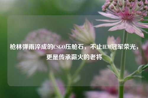 枪林弹雨淬成的CSGO压舱石,不止IEM冠军荣光,更是传承薪火的老将