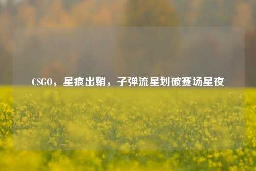 CSGO,星痕出鞘,子弹流星划破赛场星夜