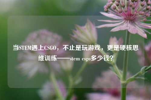 当STEM遇上CSGO,不止是玩游戏,更是硬核思维训练——stem csgo多少钱?