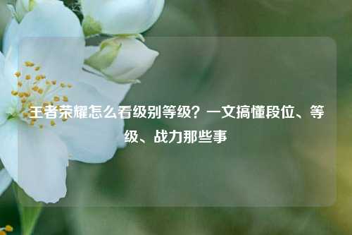 王者荣耀怎么看级别等级？一文搞懂段位、等级、战力那些事
