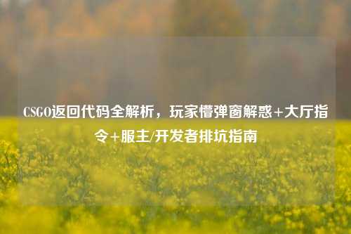 CSGO返回代码全解析,玩家懵弹窗解惑+大厅指令+服主/开发者排坑指南