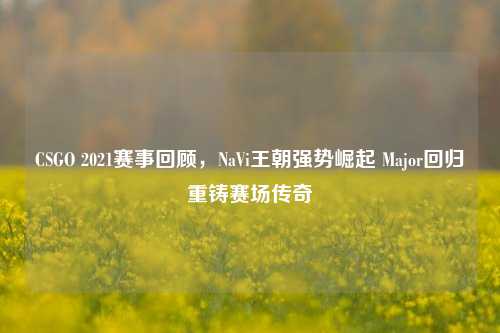 CSGO 2021赛事回顾,NaVi王朝强势崛起 Major回归重铸赛场传奇
