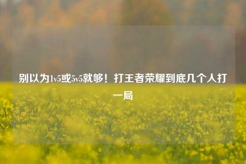 别以为1v5或5v5就够!打王者荣耀到底几个人打一局