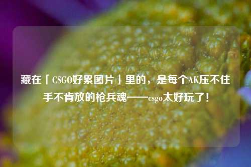 藏在「CSGO好累图片」里的,是每个AK压不住手不肯放的枪兵魂——csgo太好玩了!