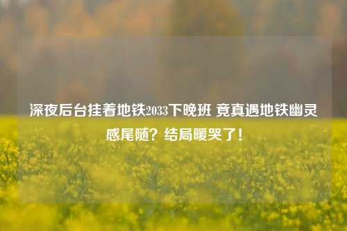 深夜后台挂着地铁2033下晚班 竟真遇地铁幽灵感尾随?结局暖哭了!