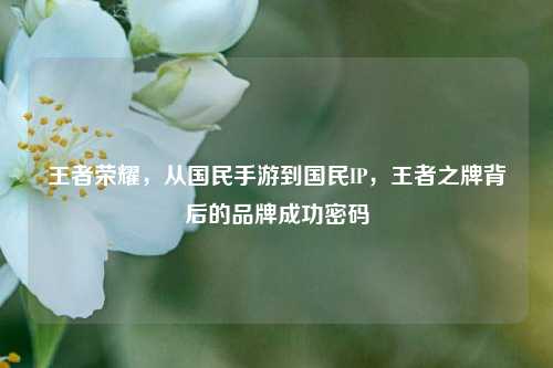 王者荣耀，从国民手游到国民IP，王者之牌背后的品牌成功密码