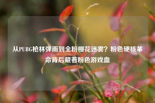 从PUBG枪林弹雨到全粉樱花迷雾?粉色硬核革命背后藏着粉色游戏血