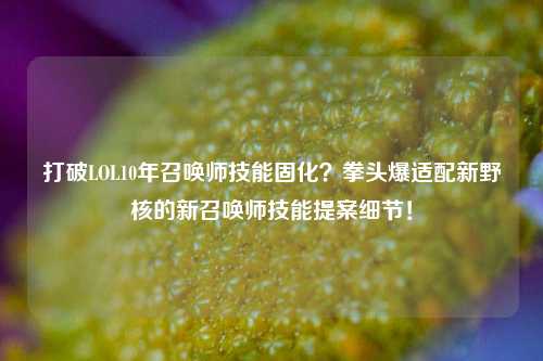 打破LOL10年召唤师技能固化?拳头爆适配新野核的新召唤师技能提案细节!
