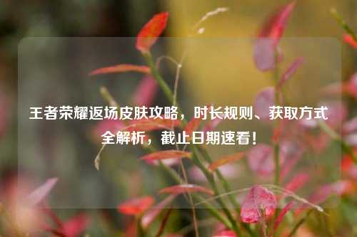 王者荣耀返场皮肤攻略,时长规则、获取方式全解析,截止日期速看!